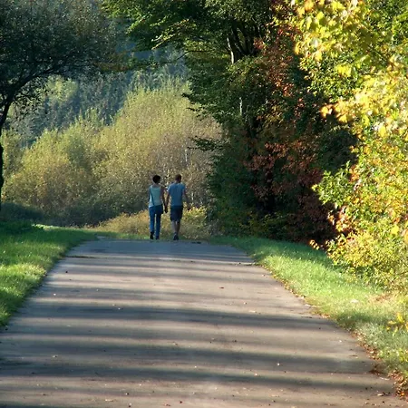 Ferienwohnung Fernblick Manderfeld